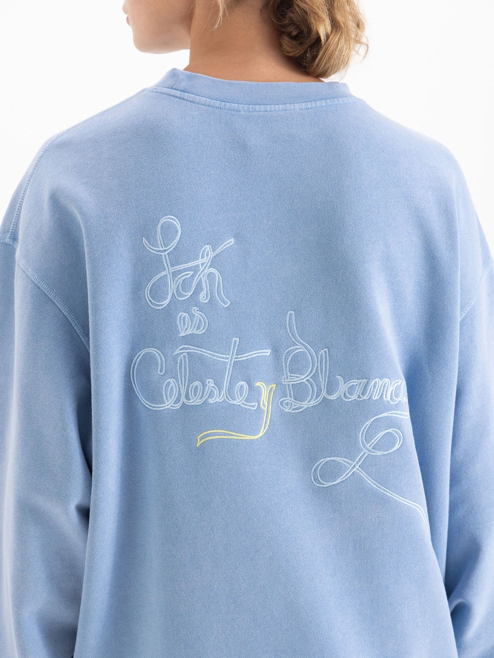 Buzo La Celeste Y Blanca
